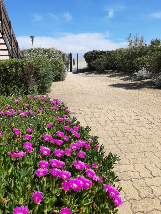 Plage De La Roquille Agde Εξωτερικό φωτογραφία